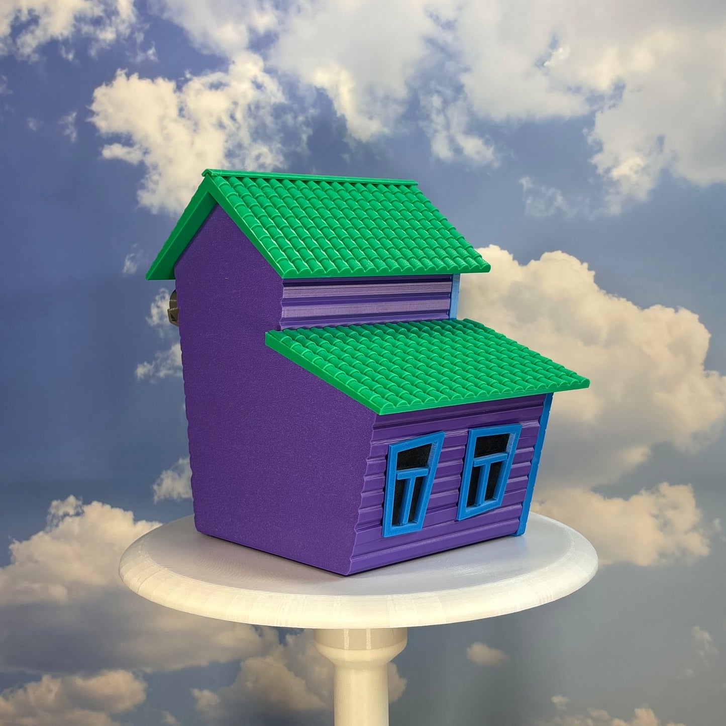 Toon House - Birdhouse
